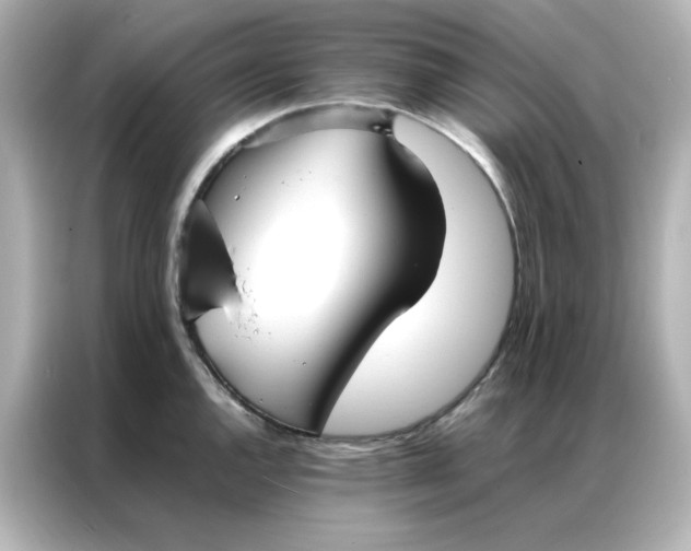 X0000086991144200704301332