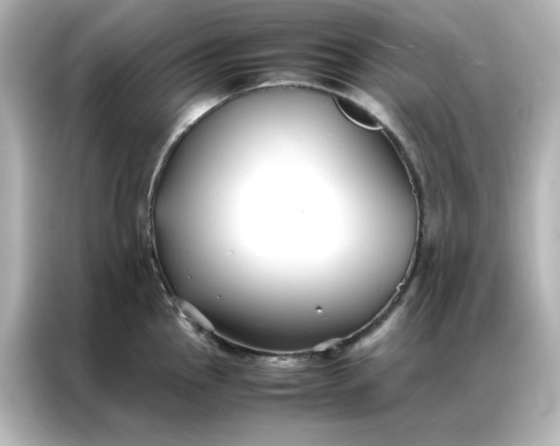 X0000086991145200704301332