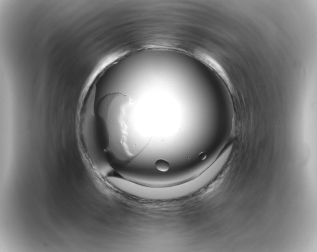 X0000086991146200704301332