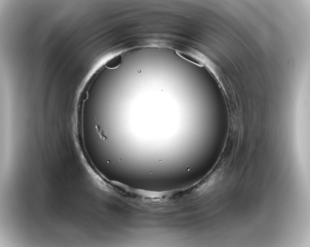 X0000086991147200704301332