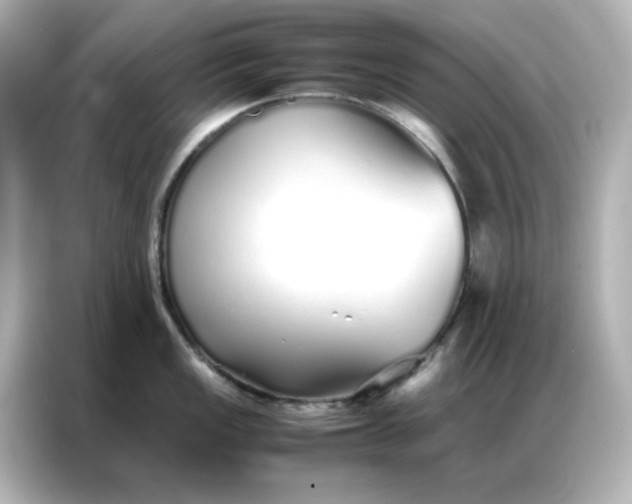 X0000086991149200704301332