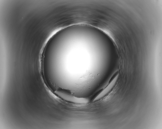 X0000086991151200704301332