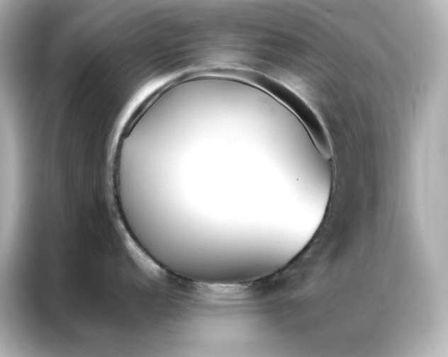 X0000086991152200704301332