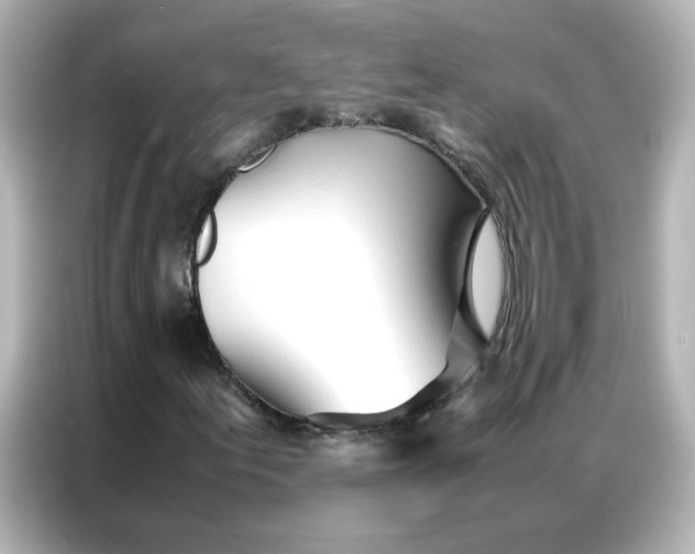 X0000086991155200704301332