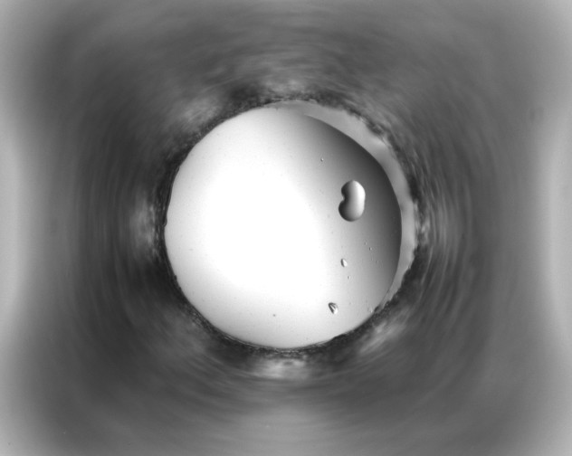 X0000086991156200704301332