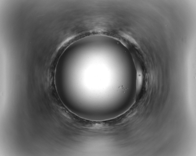 X0000086991160200704301332