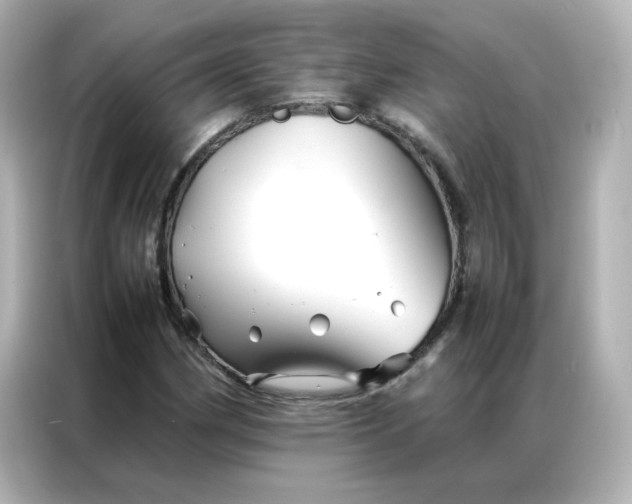 X0000086991162200704301332