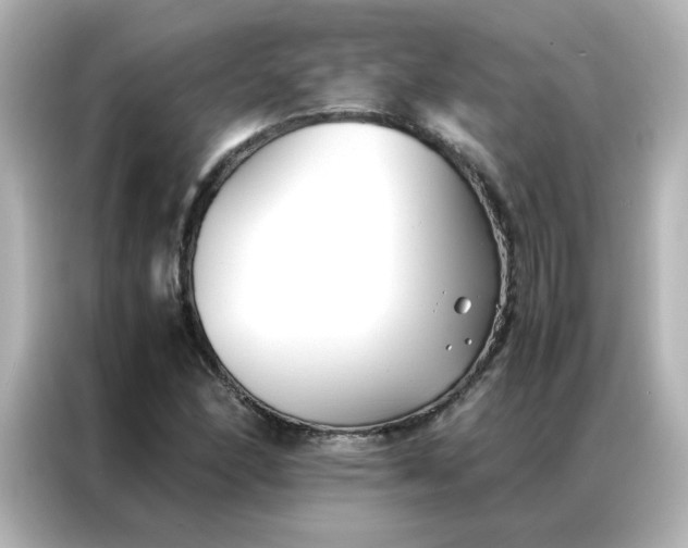 X0000086991166200704301332