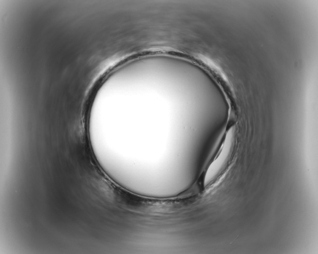 X0000086991167200704301332