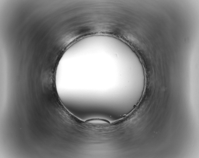 X0000086991169200704301332