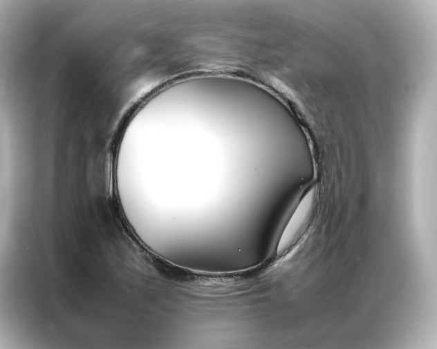 X0000086991171200704301332