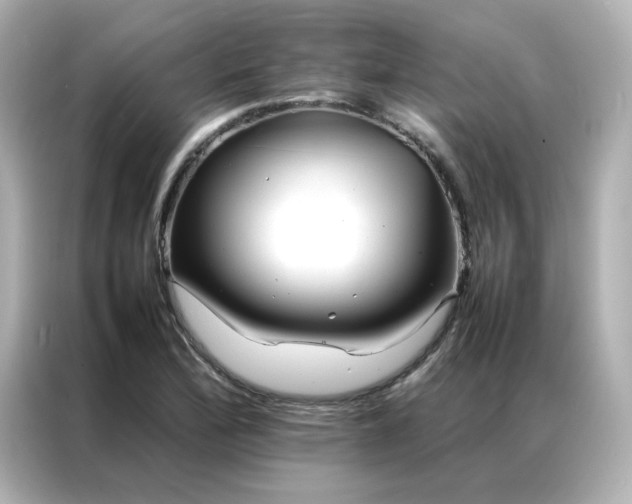 X0000086991172200704301332