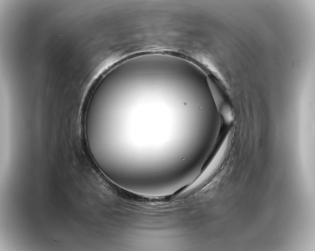 X0000086991173200704301332