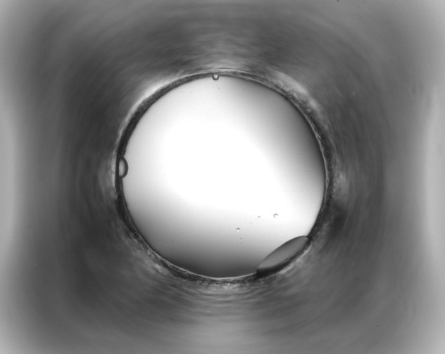 X0000086991174200704301332