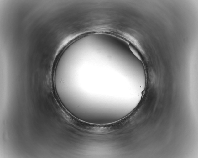 X0000086991176200704301331