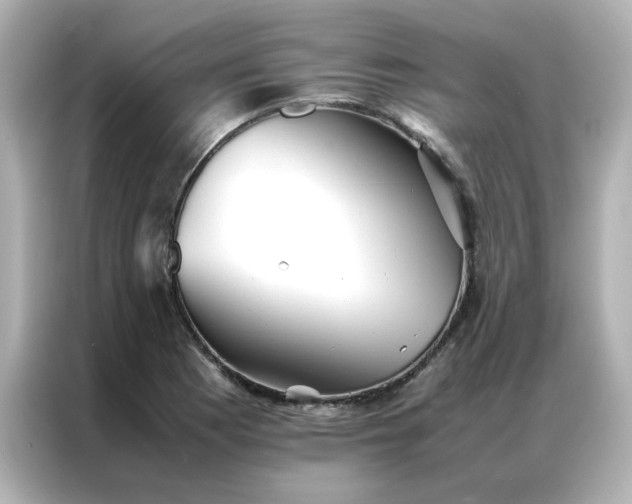 X0000086991177200704301331