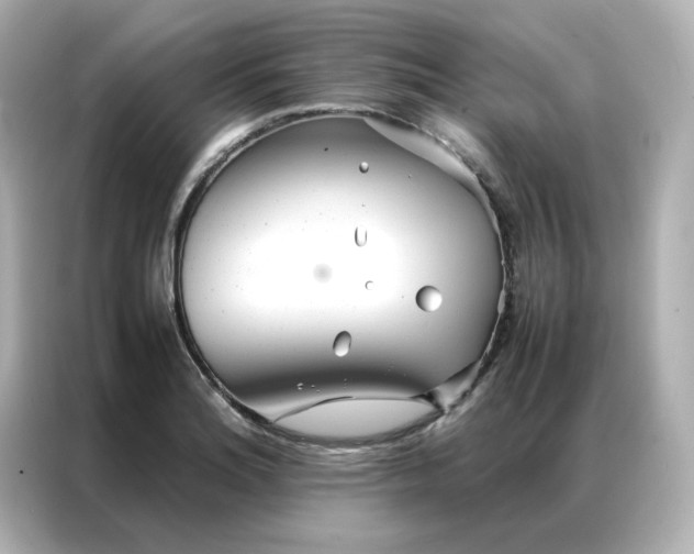 X0000086991180200704301331