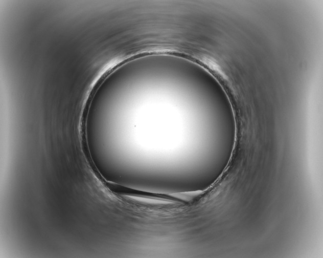 X0000086991181200704301331