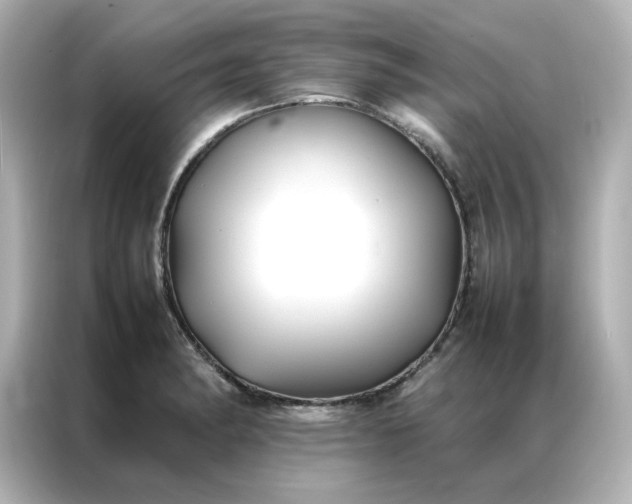 X0000086991182200704301331