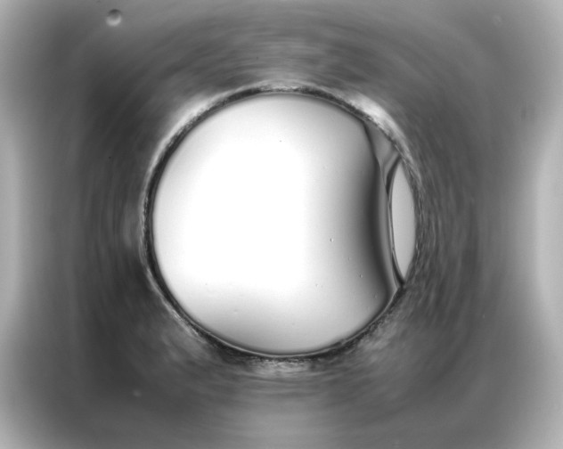 X0000086991183200704301331