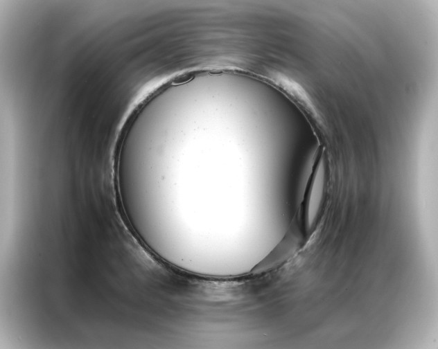 X0000086991184200704301331