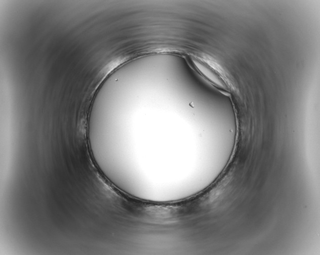 X0000086991185200704301331