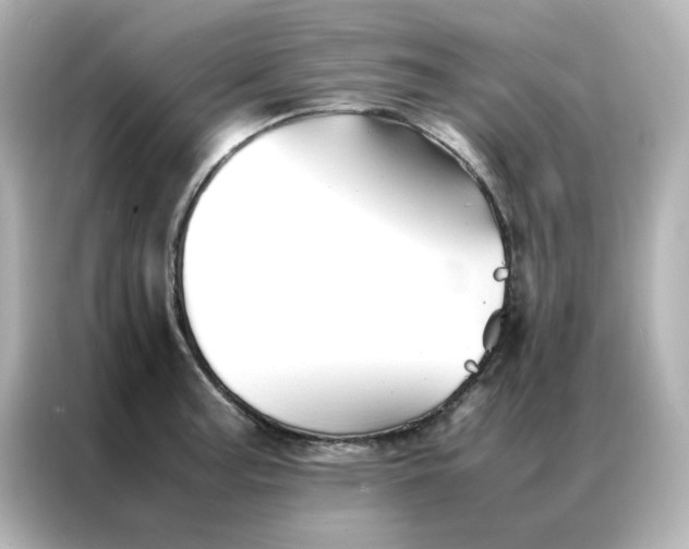 X0000086991187200704301331