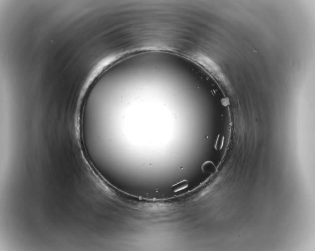 X0000086991188200704301331