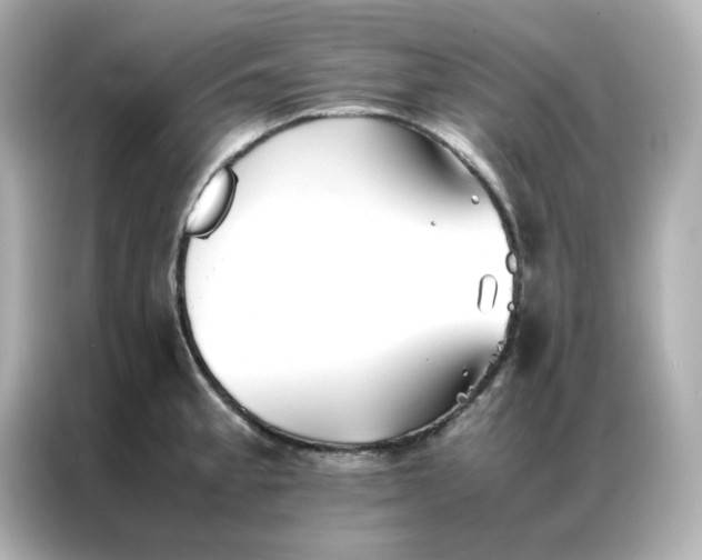 X0000086991189200704301331