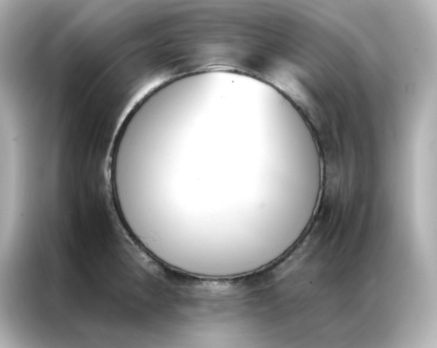 X0000086991190200704301331