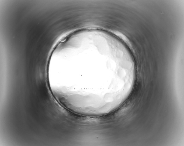 X0000086991191200704301331