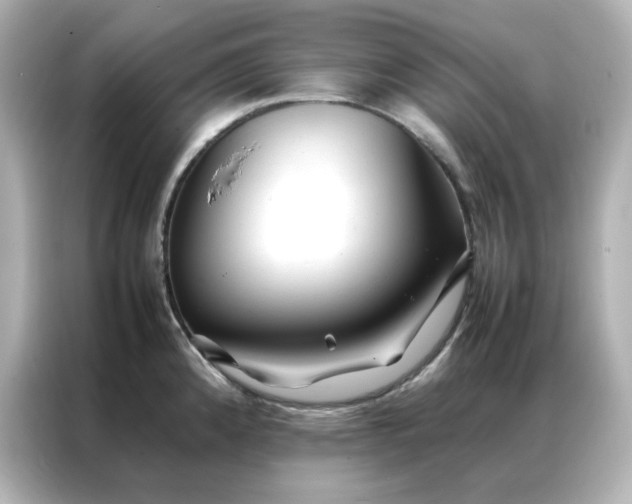 X0000086991192200704301331