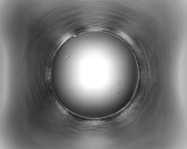 X0000086991193200704301331