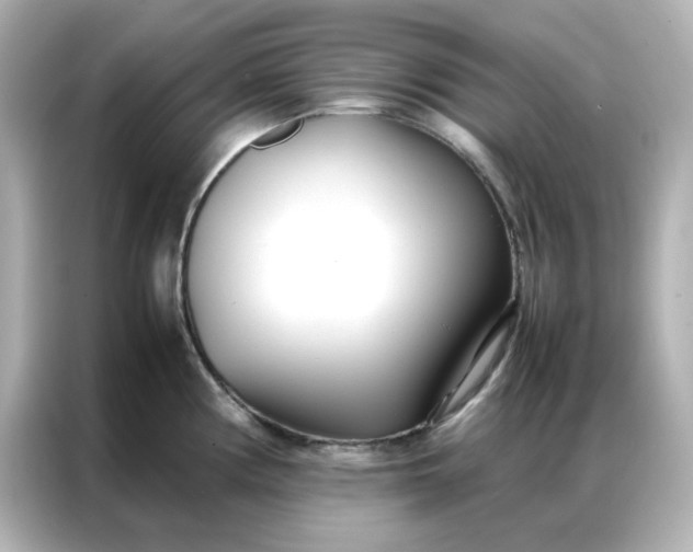 X0000086991194200704301331