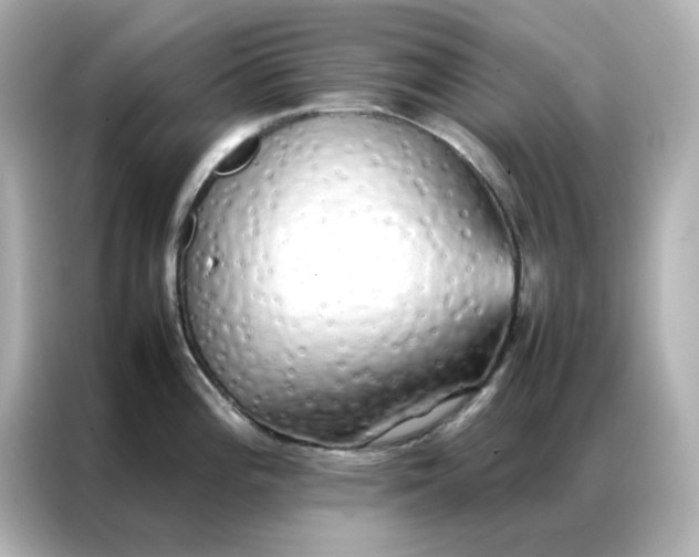 X0000086991196200704301331