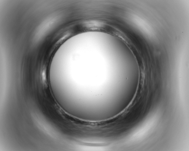 X0000086991198200704301331