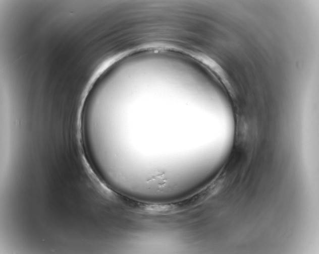 X0000086991199200704301331