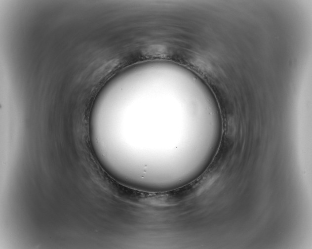 X0000086991201200704301331