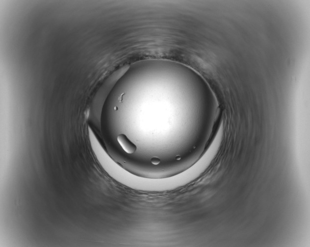 X0000086991202200704301331