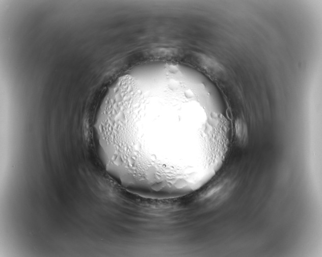 X0000086991203200704301331