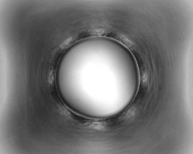 X0000086991204200704301331