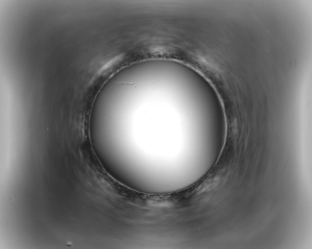 X0000086991205200704301331