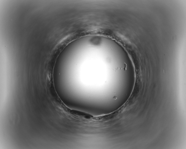 X0000086991206200704301331