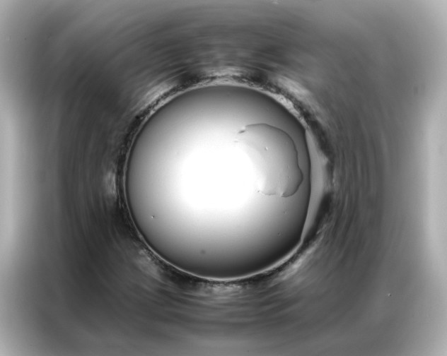 X0000086991209200704301331