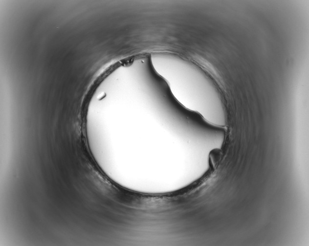 X0000086991212200704301331