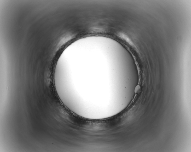 X0000086991213200704301331