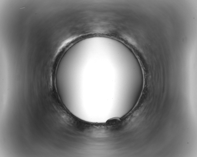 X0000086991214200704301331