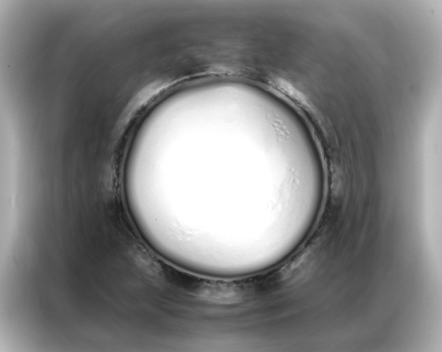 X0000086991215200704301331