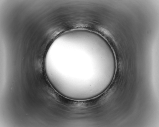 X0000086991217200704301331