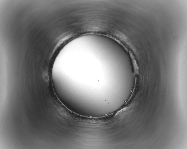 X0000086991218200704301331